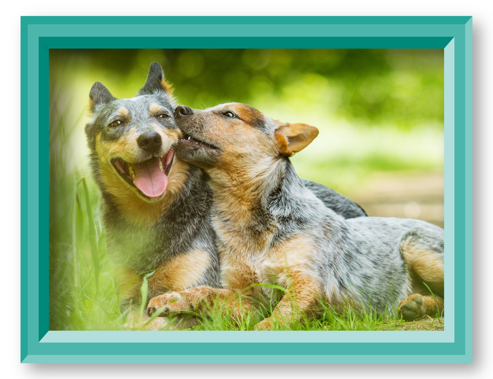 02022-MTGO-HISTORY-OF-PETS-BLOG-POST-DEC-IMAGE-2-1