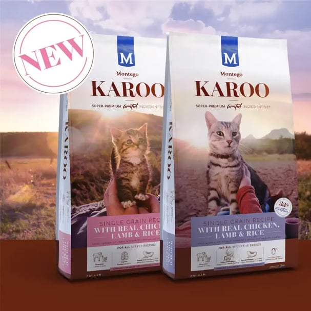 03378-MTGO-KAROO-CAT-BLOG-POST-06-1024x1024 1