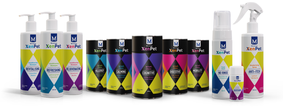 03825-MTGO-XNT-2022-CMPGN-BLOG-BANNERS-R-PRODUCT