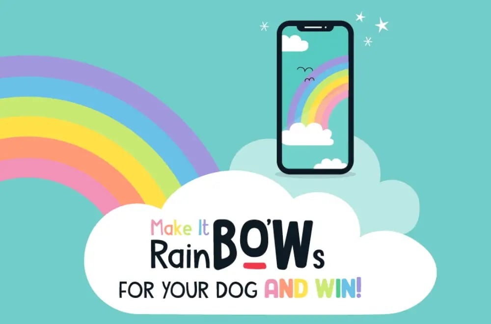 04082-MTGO-BOW-BLOG-POST-OUR-NEWS-IMAGE-R 1