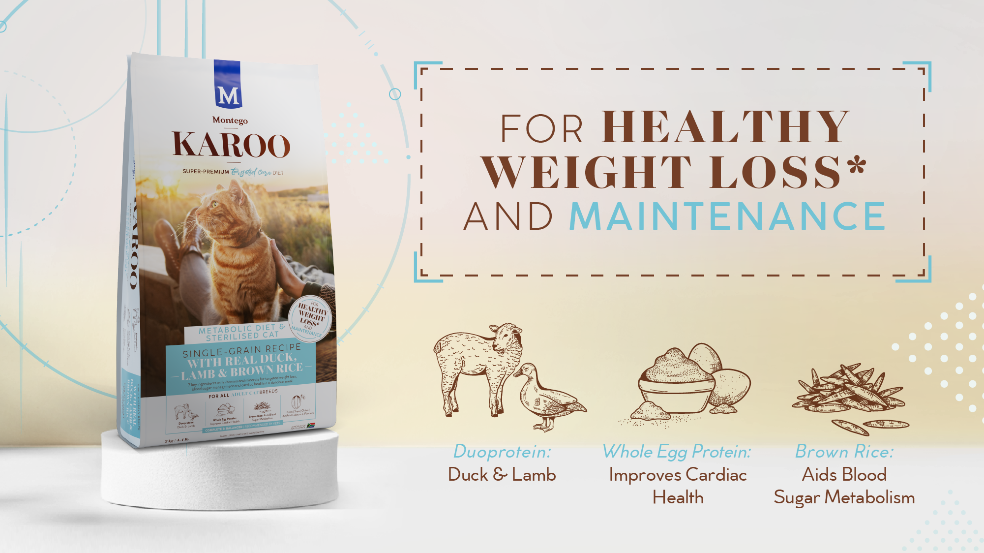 04195-MTGO-KAROO-TC-BLOG-R-METABOLIC-CAT