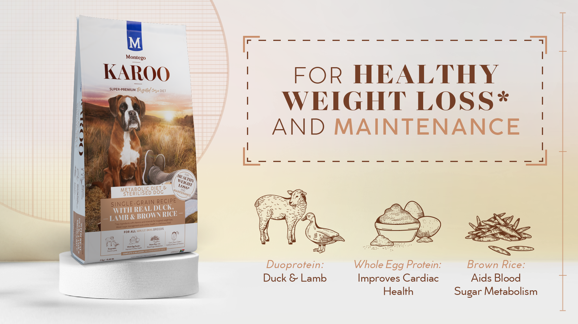 04195-MTGO-KAROO-TC-BLOG-R-METABOLIC-DOG
