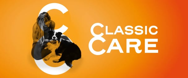 04384-MTGO-CLASSIC-BLOG-UPDATE-BLOG-ARTWORK-R-BLOG-IMAGE-3 1-1