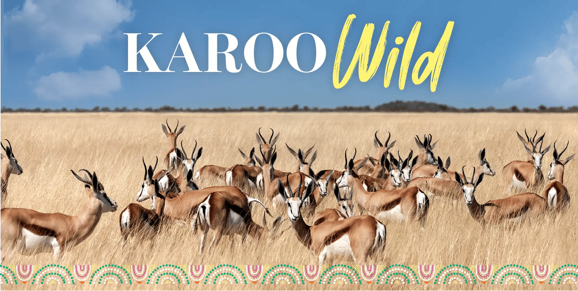 04469-MTGO-KW-BLOG-2-V1_HEADER-BANNER 1