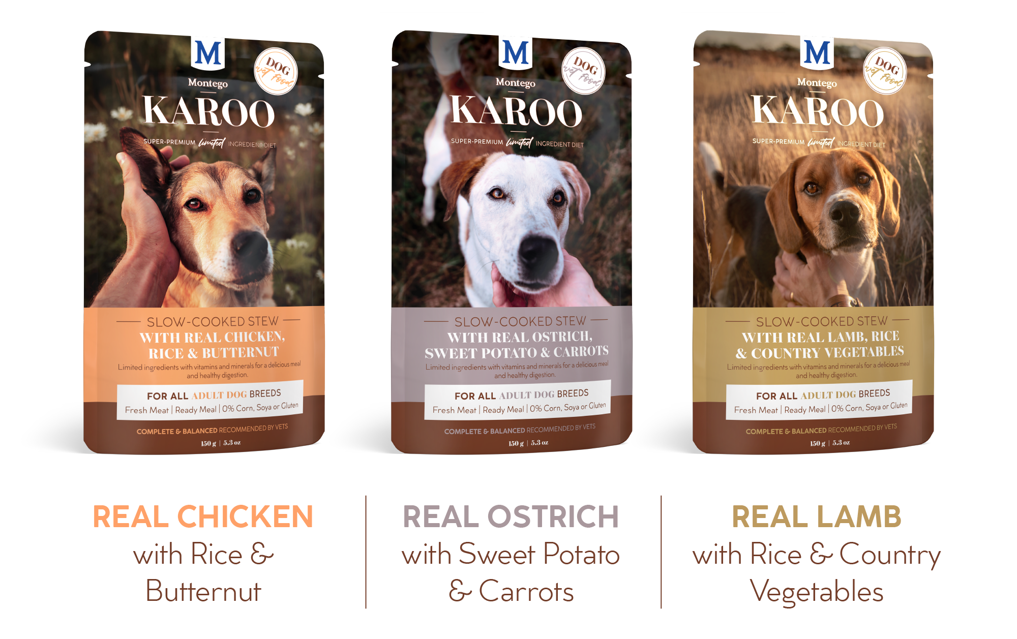 04600-MTGO-KAROO-POUCH-BLOG-R_DOG-PACKS-1