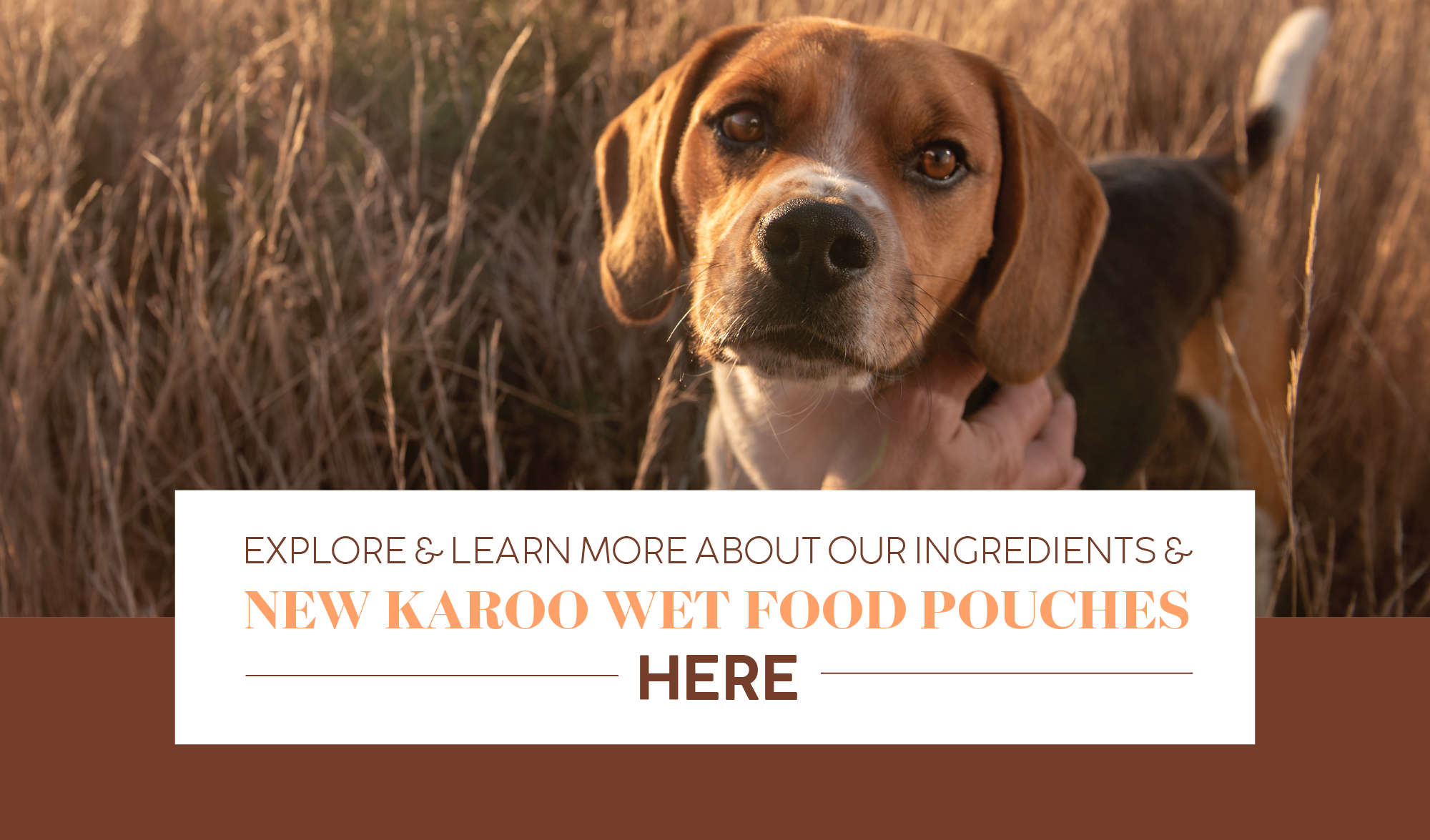 04600-MTGO-KAROO-POUCH-BLOG-R_FOOTER-MESSAGE
