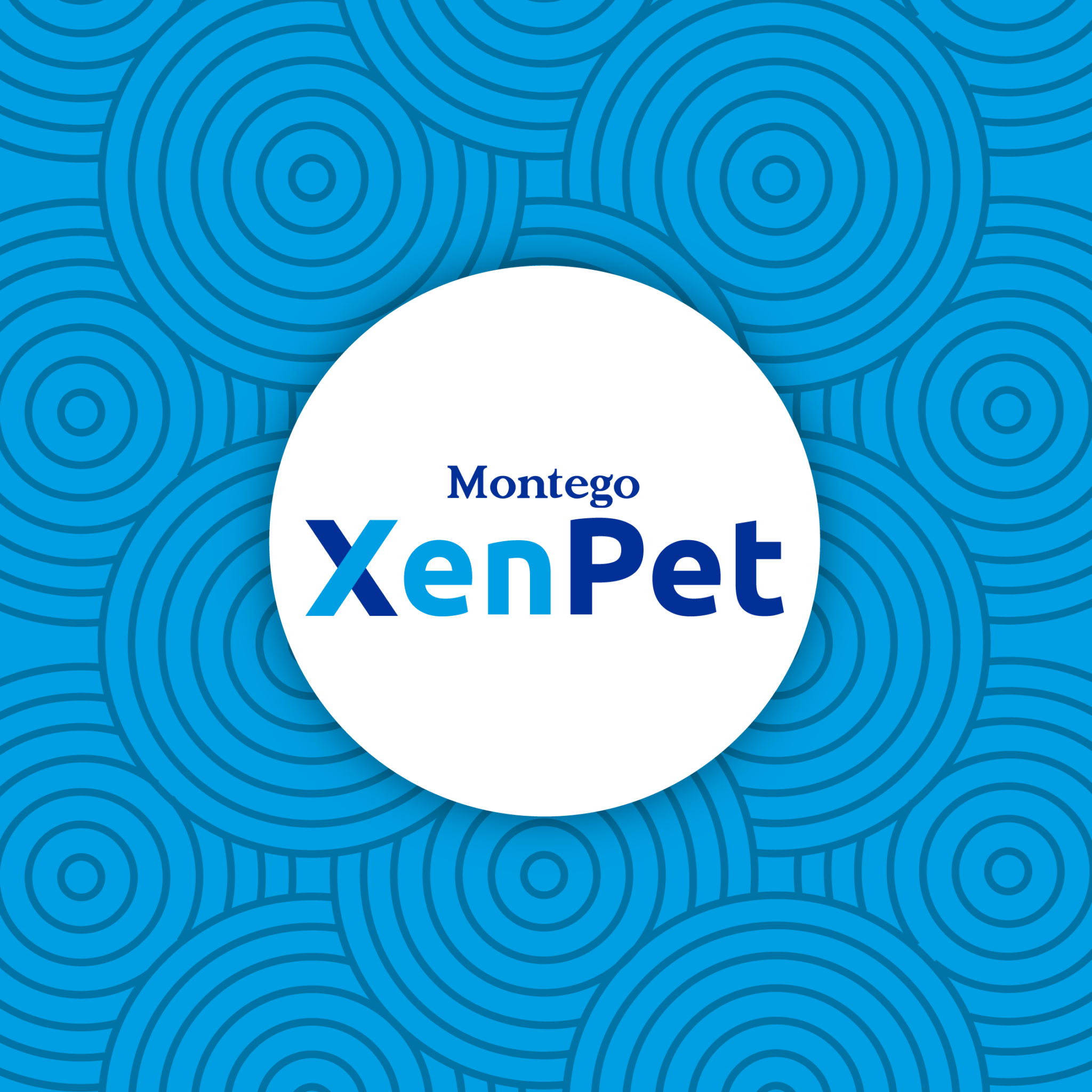 04941-MTGO-FOLLOWER-AD-CAMPAIGN-2026-R_XENPET-1-2048x2048