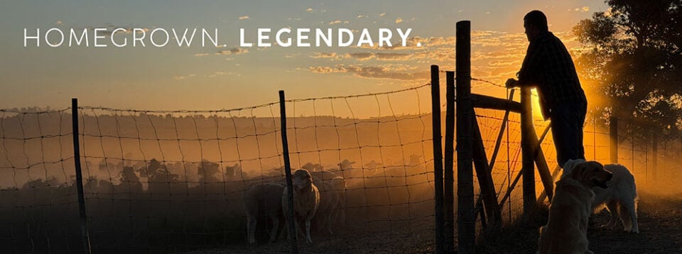 05057-MTGO-KAROO-CAMPAIGN-BLOG-BLOG-LAYOUT-BANNER-IMGS_3-960x358