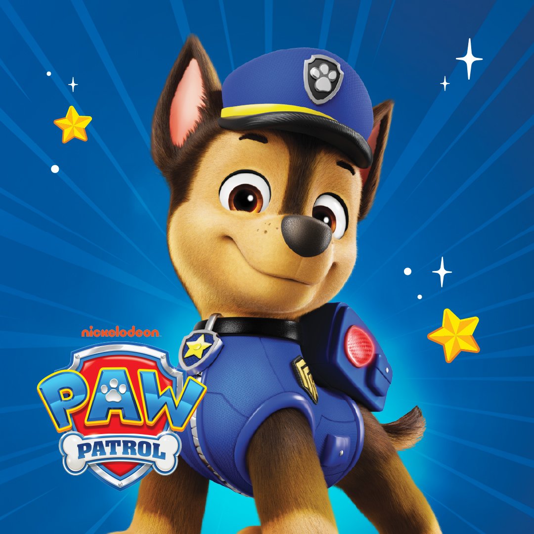 05084 MTGO WEBSITE BANNERS PAW PATROL 1080X1080 FULL LOGO (1)