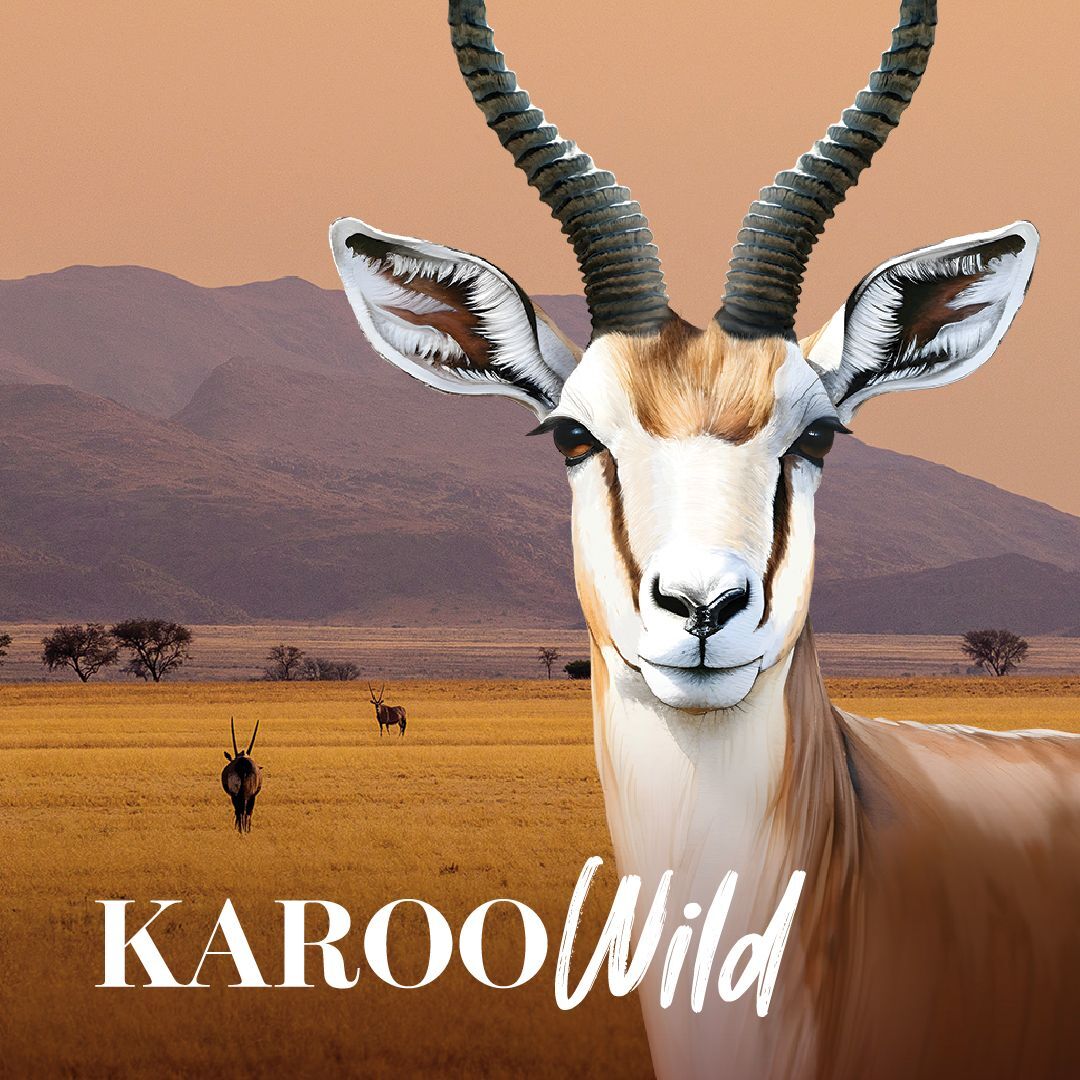Karoo Wild treats
