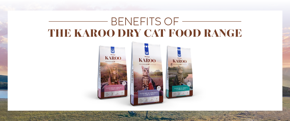 3573-MTGO-KAROO-DRY-CAT-FOOD-BLOG-R-01