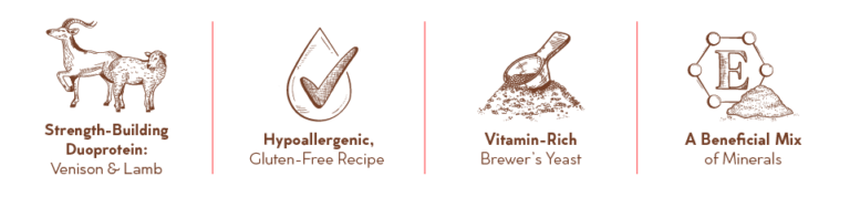 3573-MTGO-KAROO-DRY-DOG-FOOD-BLOG-R-13-768x178