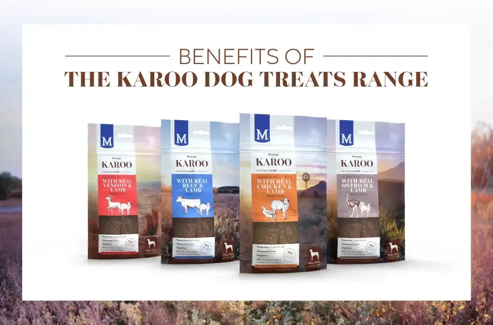 Benefits of the Karoo Dog Treats Range