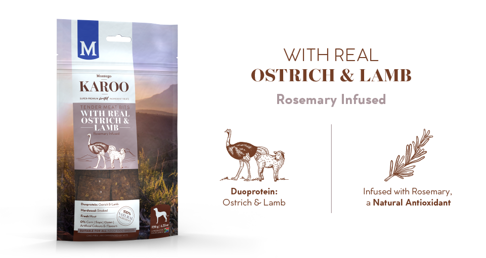 3573-MTGO-KAROO-TREATS-BLOG-S-R-06