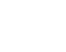 CARECLUB WEBSITE ICONS_Priority Query Line - ICON