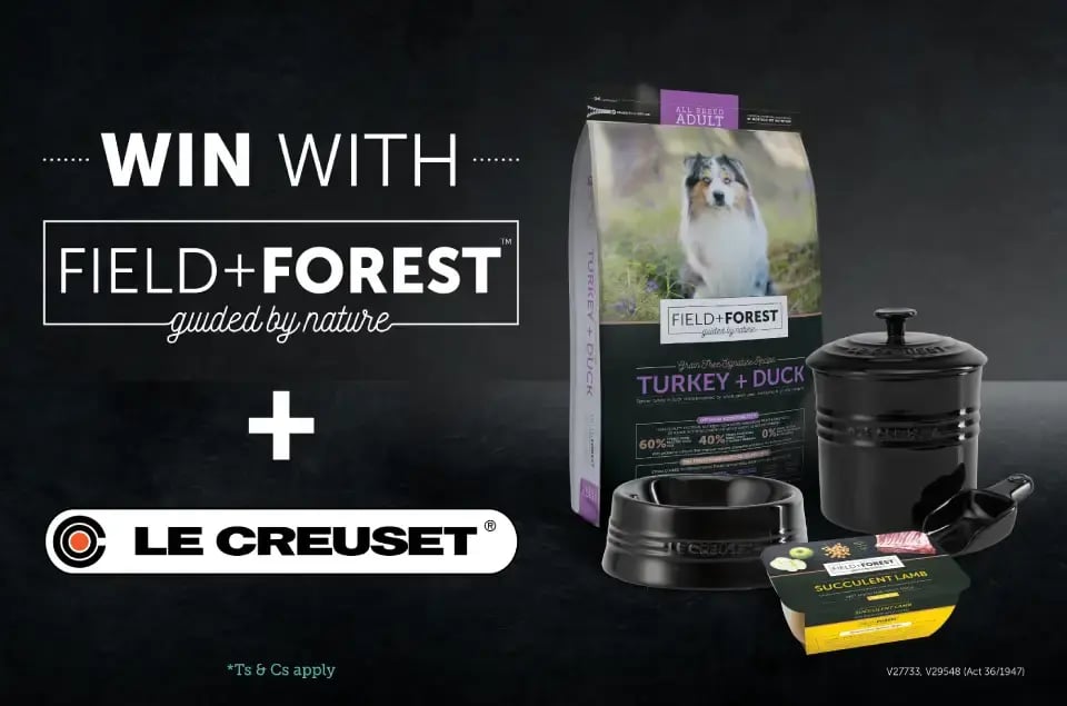 FF-LE-CREUSET 1