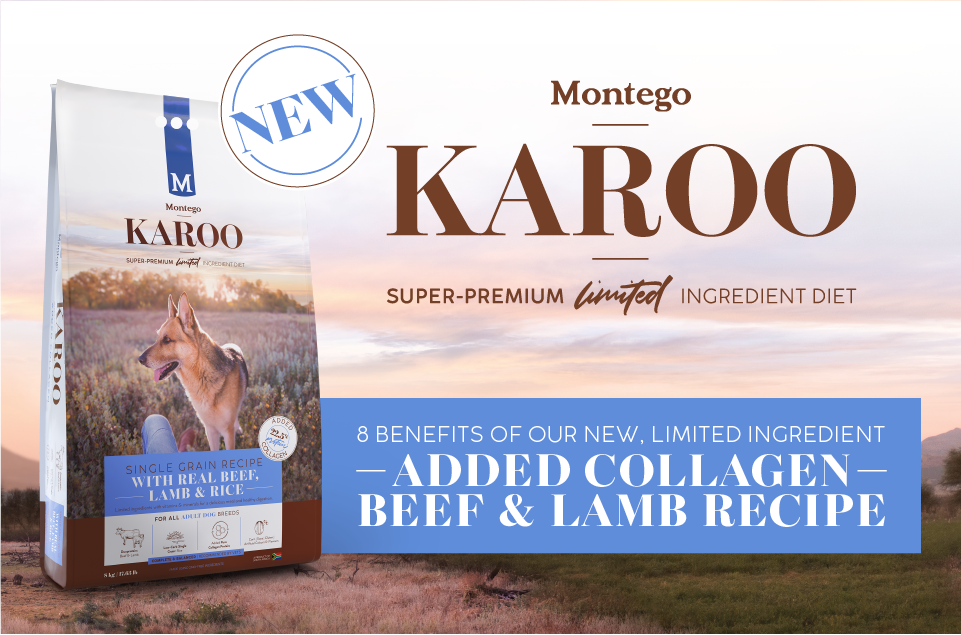 Karoo Expansion Beef & Lamb