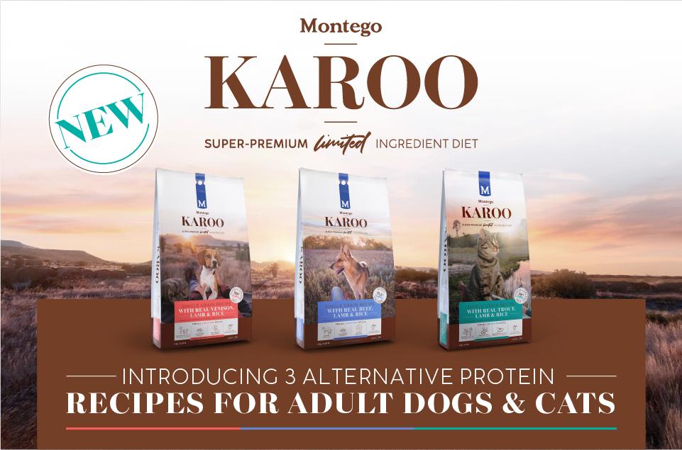 03533-MTGO-KAROO-INTRO-BLOG-R-HEADER-IMG