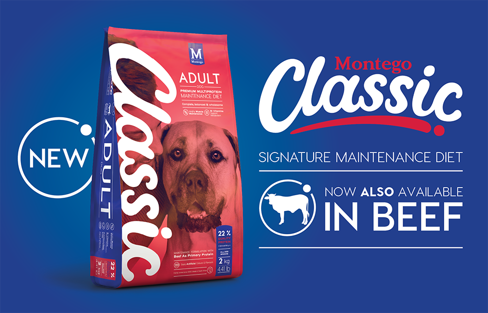 04894-MTGO-CLASSIC-BEEF-EXPANSION-LAUNCH-BLOG-OUR-NEWS-IMAGE-960-X-616-px-01