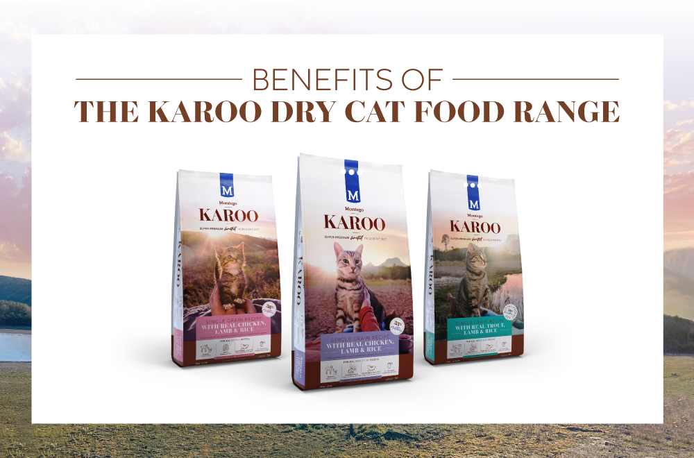 3573-MTGO-KAROO-DRY-CAT-FOOD-BLOG-NEWS-ARTICLE-PAGE-IMG