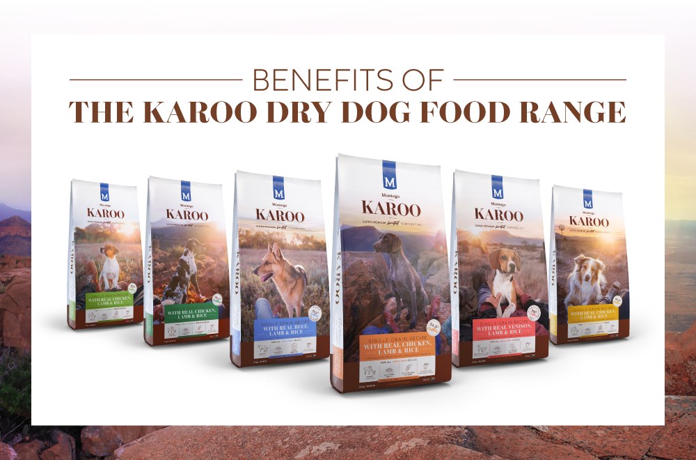 3573-MTGO-KAROO-DRY-DOG-FOOD-BLOG-NEWS-ARTICLE-PAGE-IMG