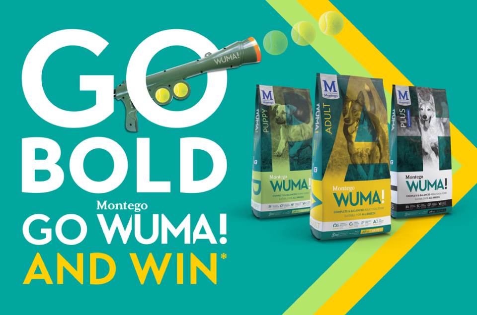 Go-Bold-Go-wuma