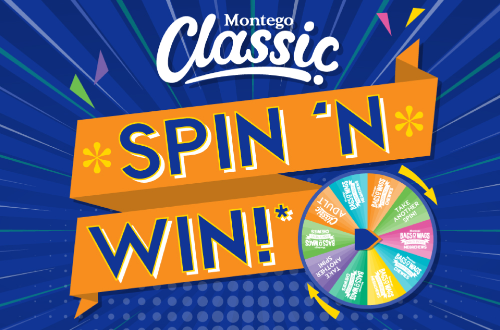 SPIN-WIN-BLOG-POST-FEATURED-IMAGE-960pb-by-634px