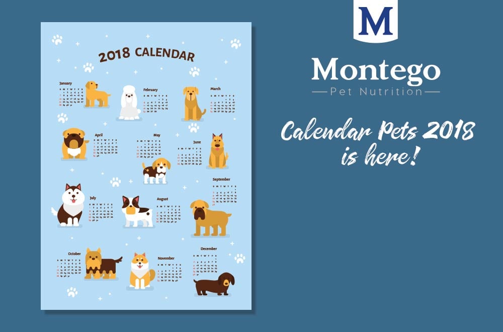 #CalendarPets 2018 is here!