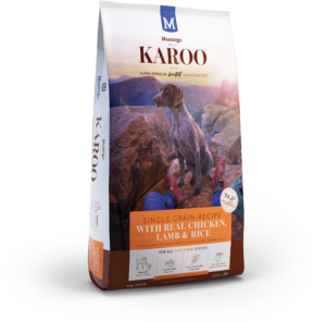 KAROO-DOG-ADULT-BLOG-300x296