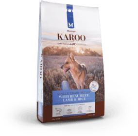 KAROO-DOG-BEEF-BLOG-300x296