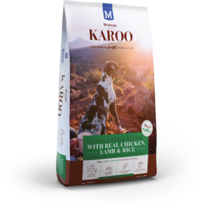 KAROO-DOG-LB-PUPPY-BLOG-300x296