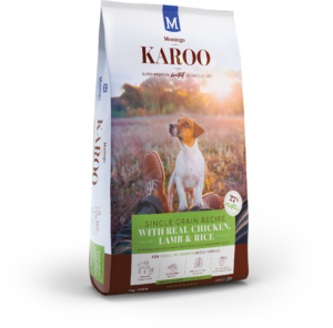 KAROO-DOG-SB-PUPPY-BLOG-300x296