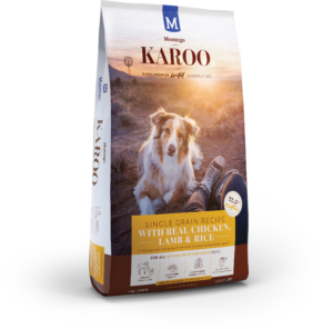 KAROO-DOG-SENIOR-BLOG-300x296