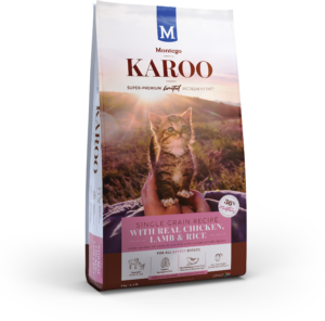 KAROO-KITTEN-BLOG-300x296