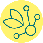 04469 MTGO KW BLOG 1 V1_BENEFITS ICON 4
