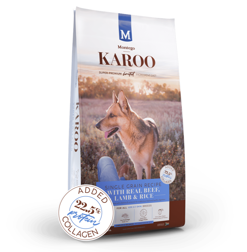 Karoo-Adult-Dog-Beef-Product-with-Badge