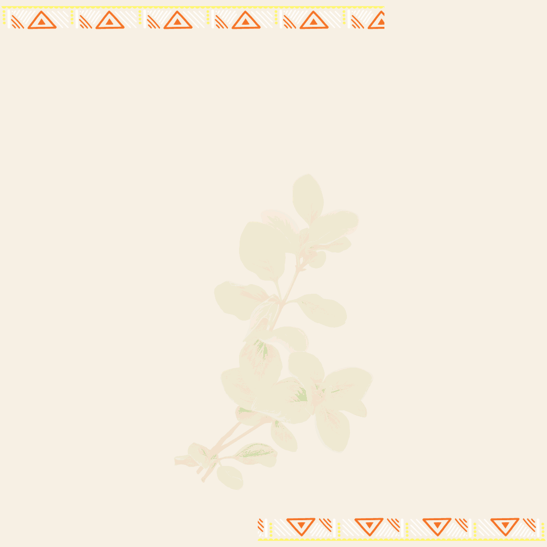 KarooWild_Oregano