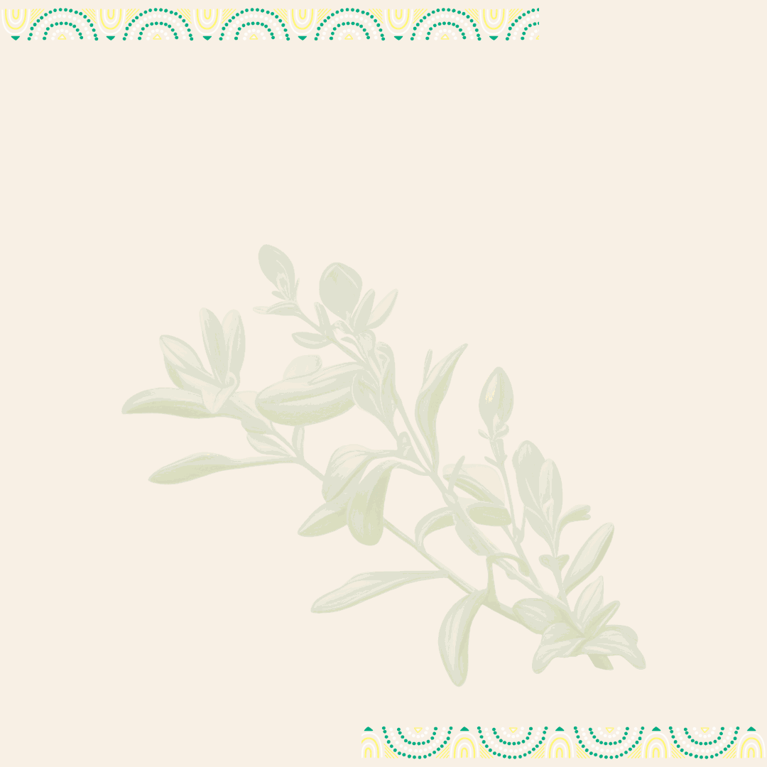 KarooWild_Thyme