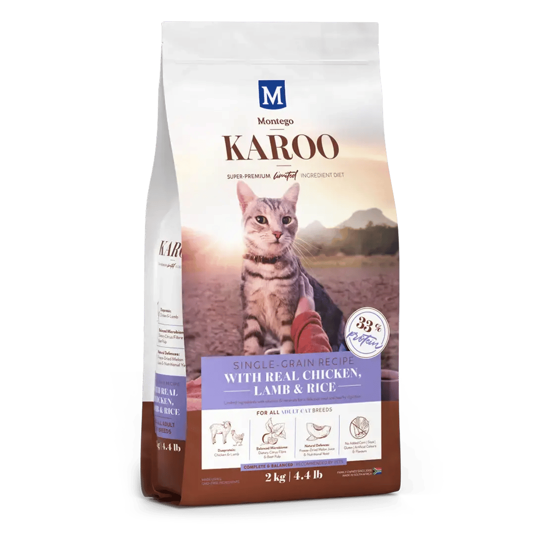 MTGO KAROO LI ADULT CAT RGB 1080px 2KG FRONT 1