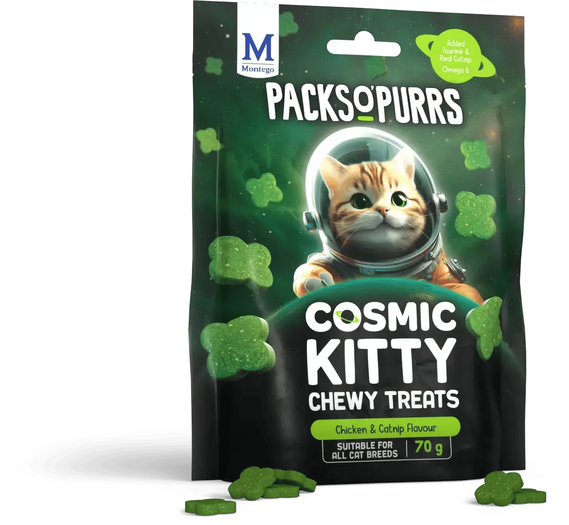 POP COSMIC KITTY POUCH CATNIP TREAT