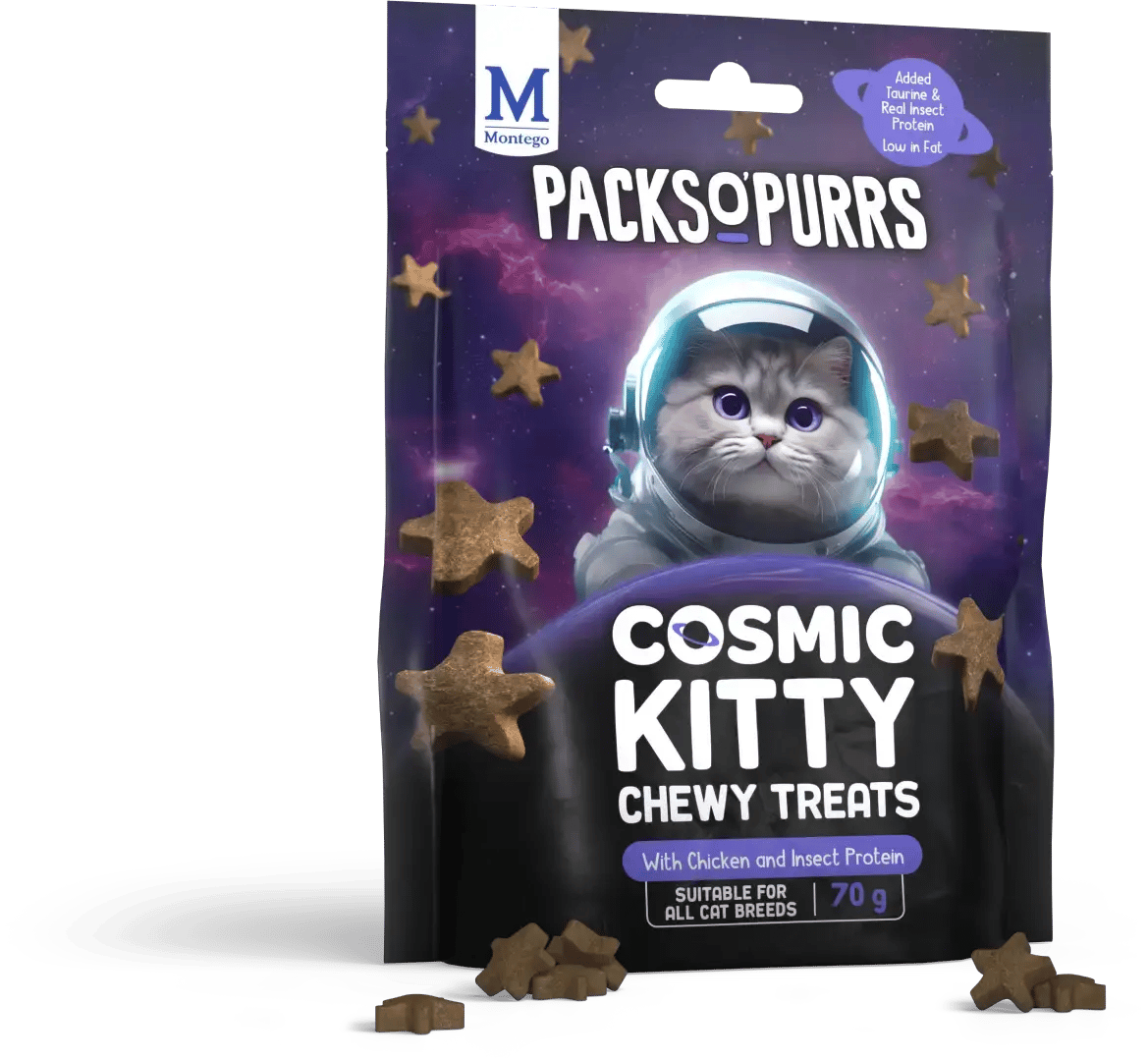POP COSMIC KITTY POUCH INSECT TREAT