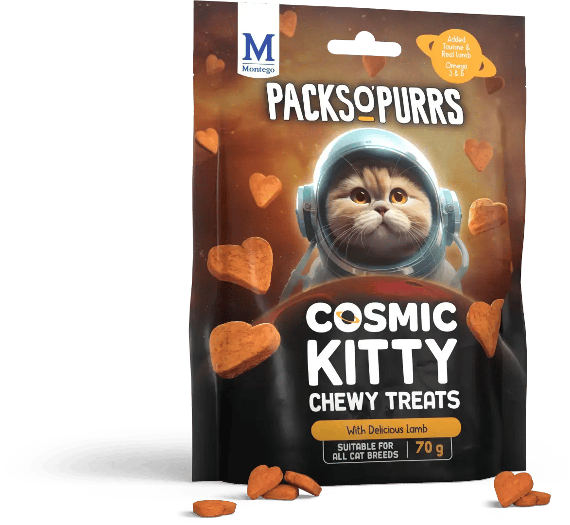 POP COSMIC KITTY POUCH LAMB TREAT