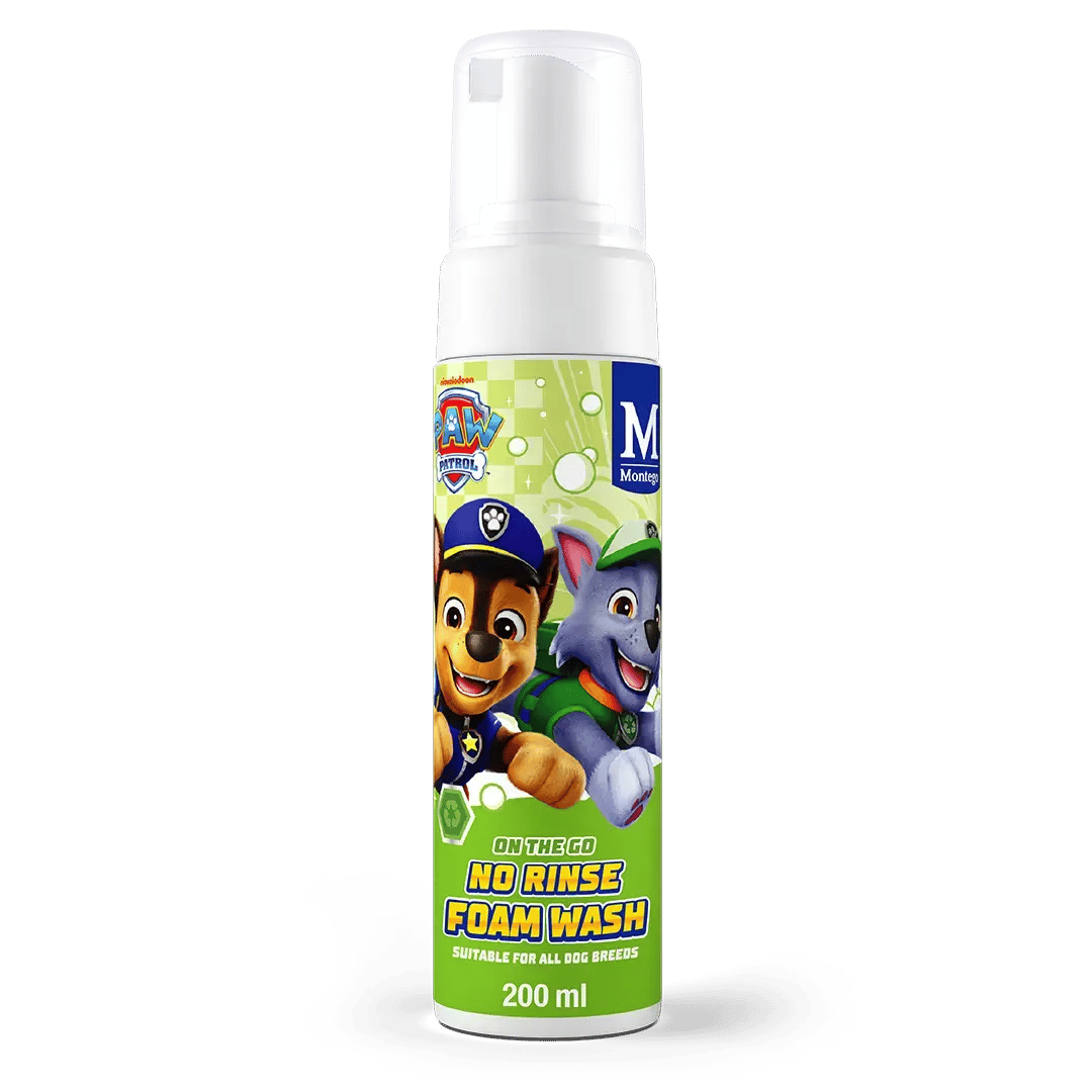 PP_NO_RINSE_FOAM_WASH_1080px 1