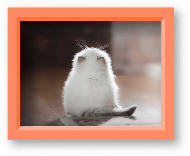 RAGDOLL-IMAGE-2-960x791 1