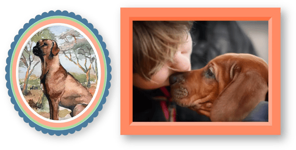 RIDGEBACK-IMAGE-3 1