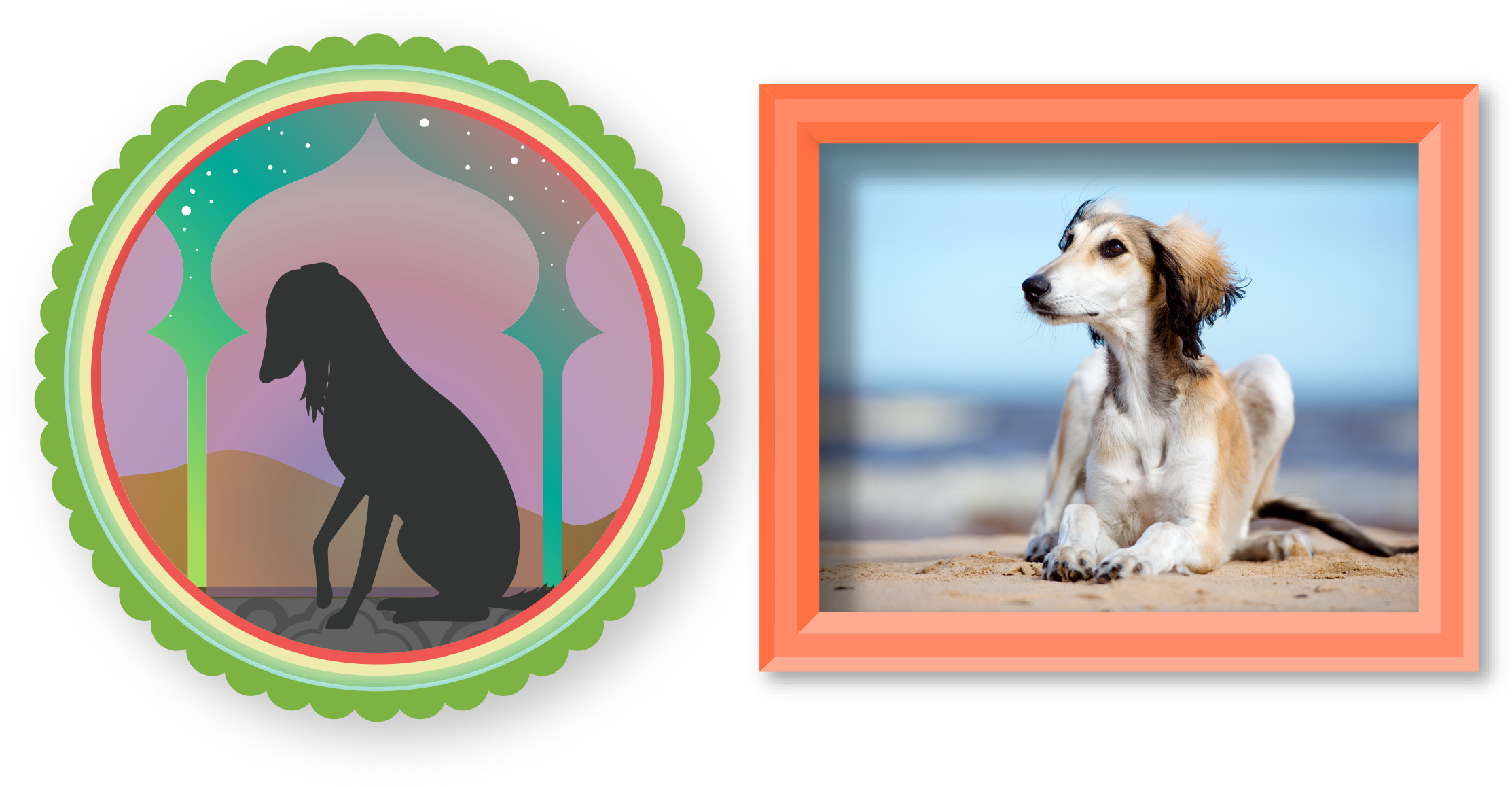 SALUKI-IMAGE-2