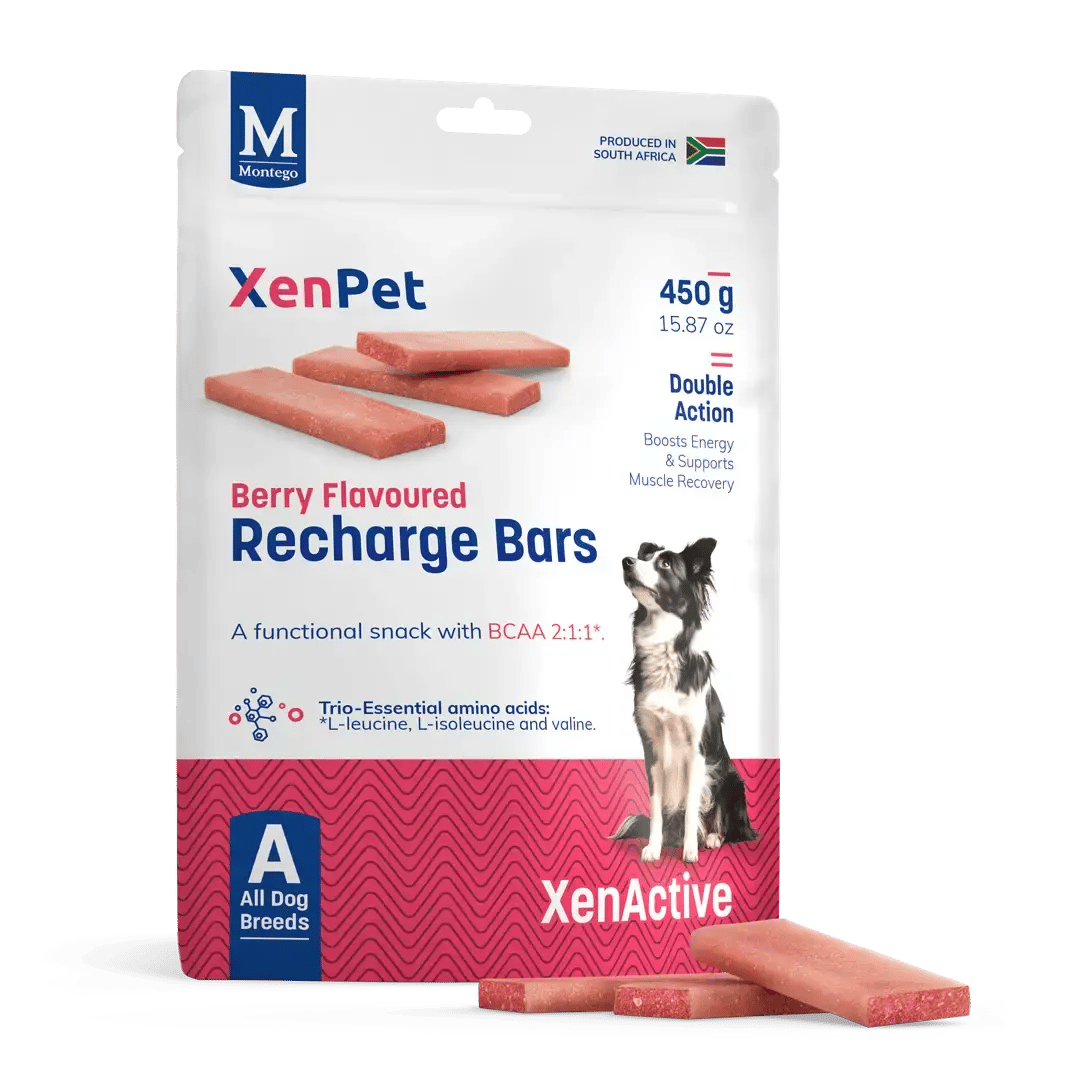 XENPET RECHARGE BARS BERRY