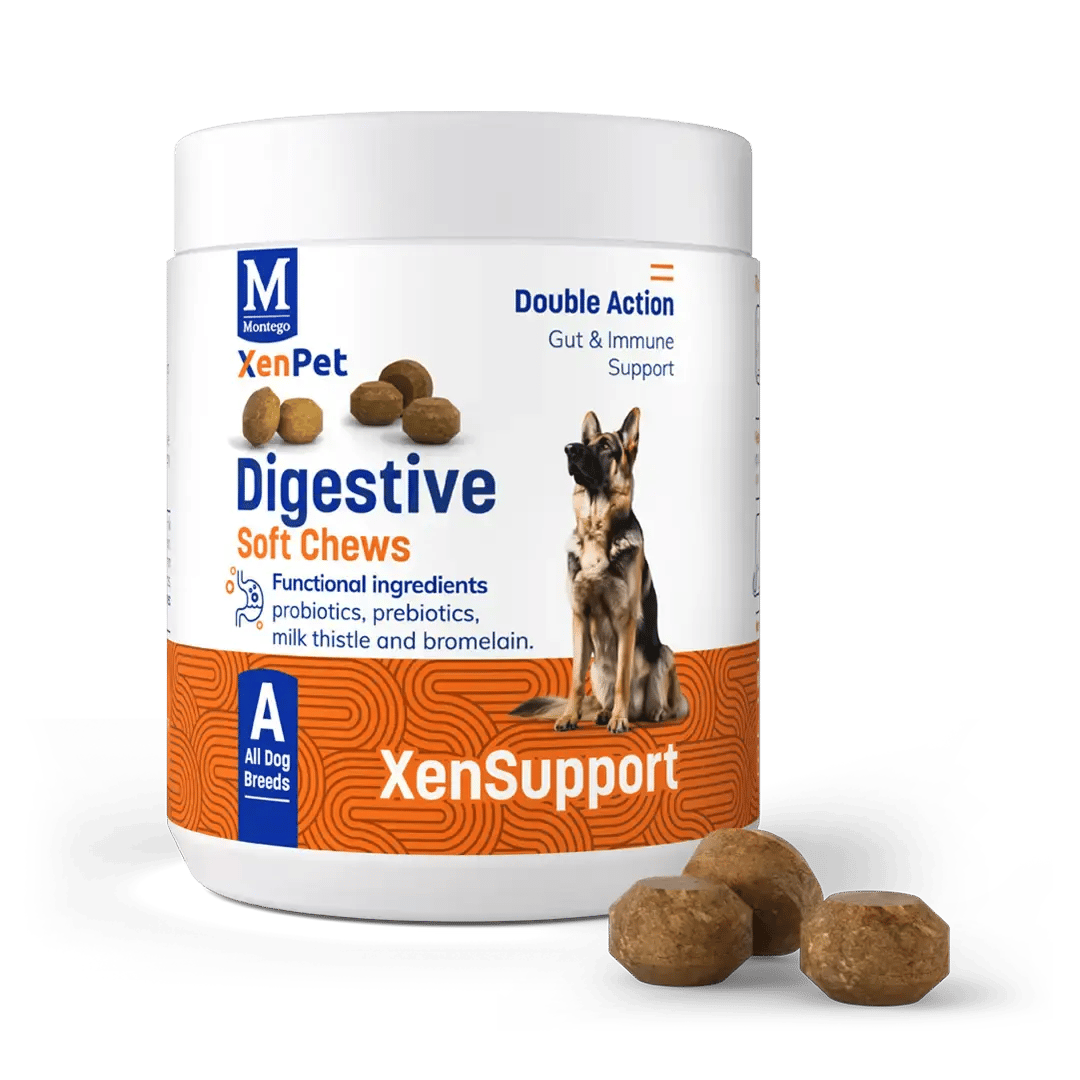 XENPET_SUPPLEMENTS_1080px_DIGESTIVE 1