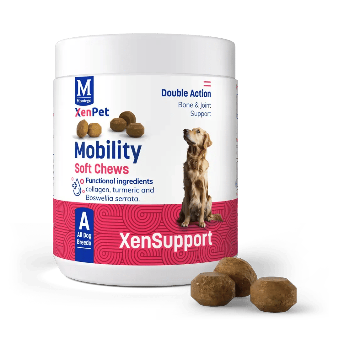 XENPET_SUPPLEMENTS_1080px_MOBILITY 1