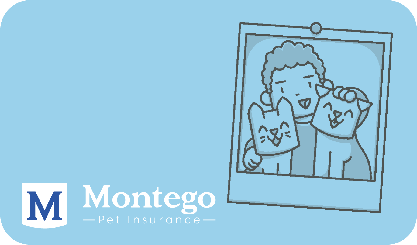 Montego Pet Insurance Website Banner-1